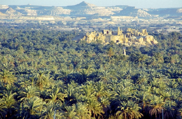 Travel-to-Siwa-Oasis-5-Days-Adventure-Tour-From-Cairo